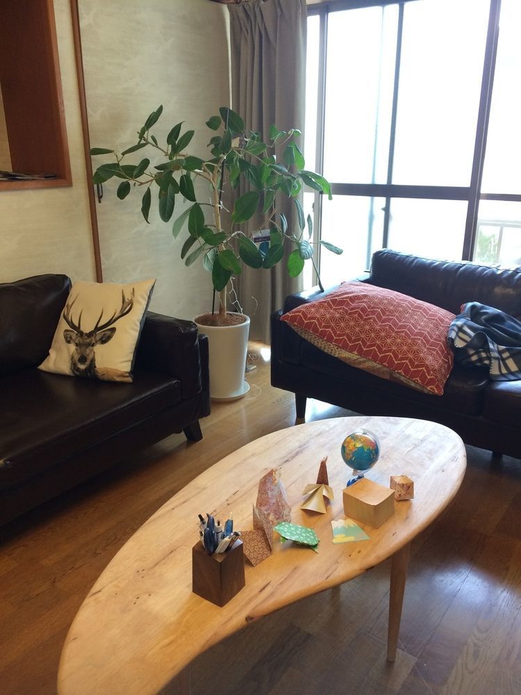 Nozawa Dream Hotel Buitenkant foto