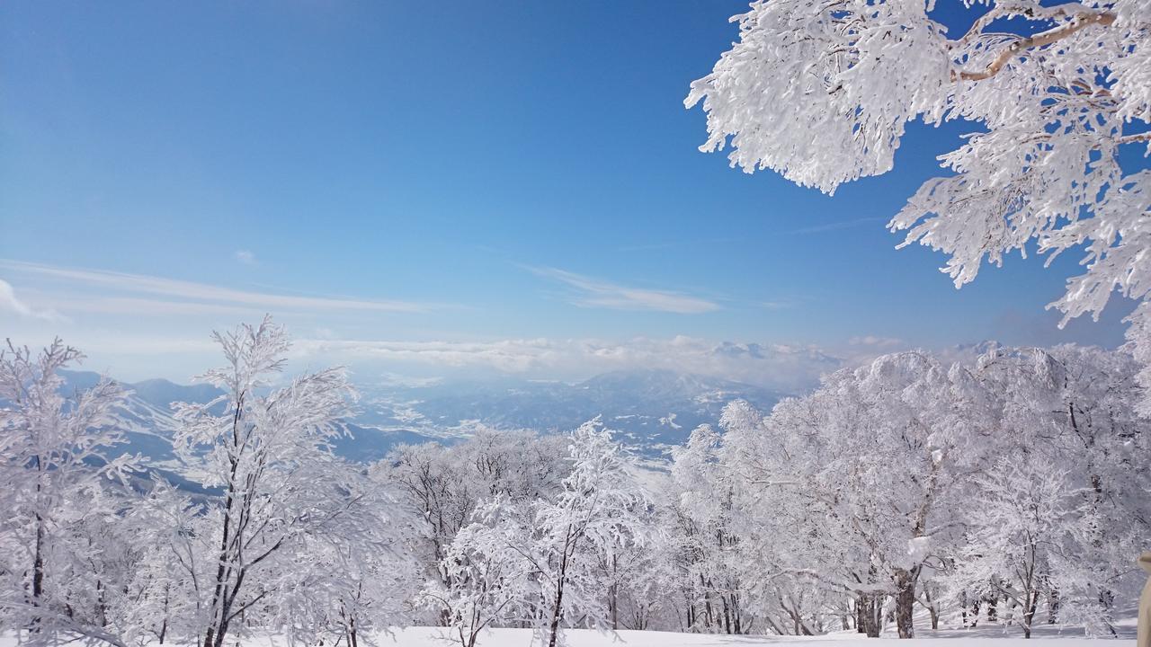 Nozawa Dream Hotel Buitenkant foto