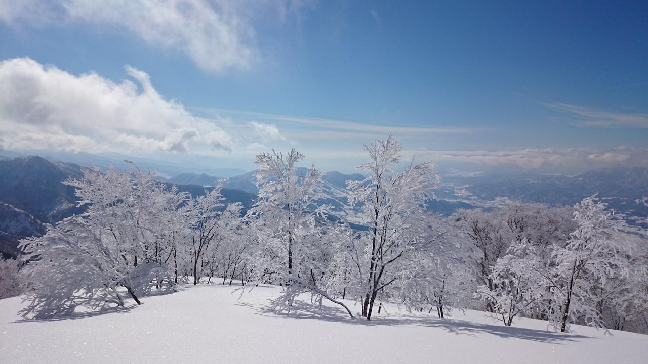 Nozawa Dream Hotel Buitenkant foto