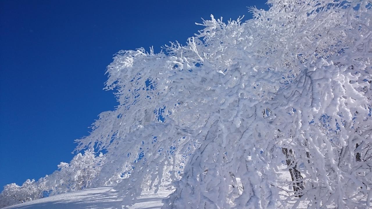 Nozawa Dream Hotel Buitenkant foto