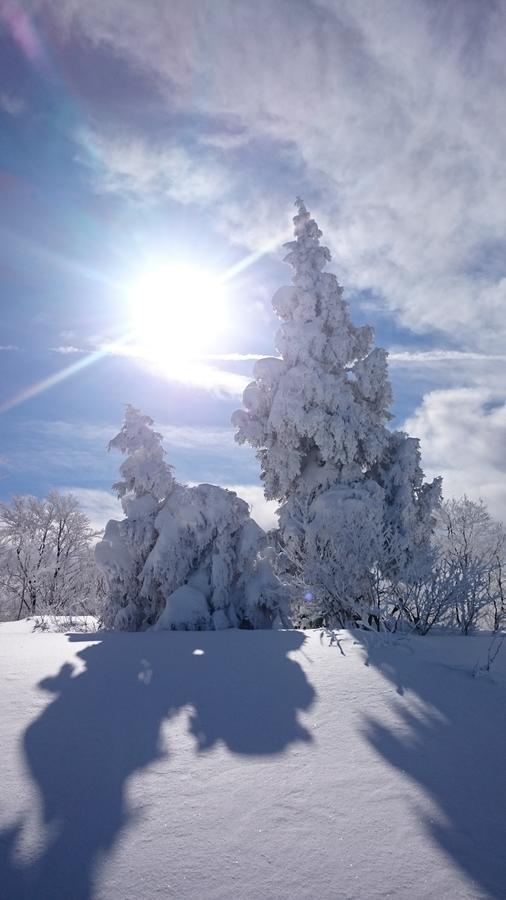 Nozawa Dream Hotel Buitenkant foto