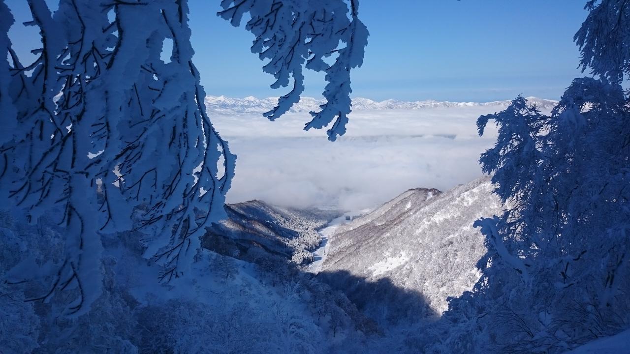 Nozawa Dream Hotel Buitenkant foto